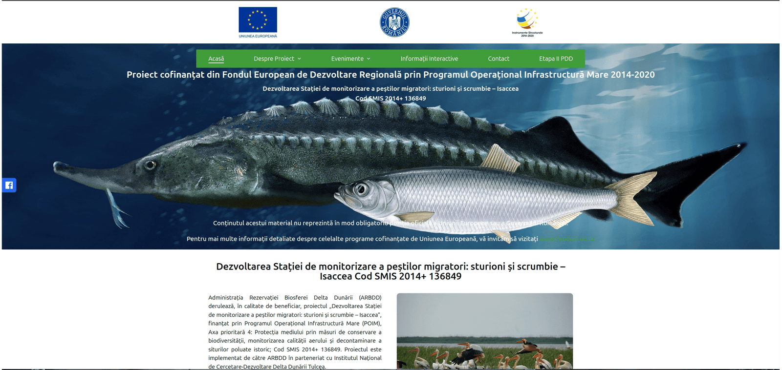 Stație Sturioni DDBRA
